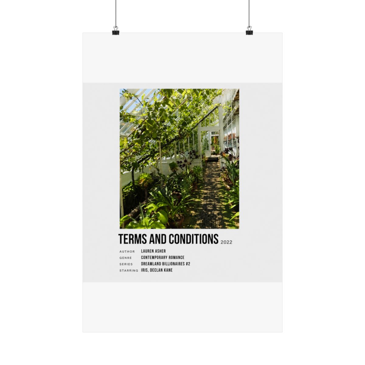 terms and conditions dreamland billionaires Lauren Asher book